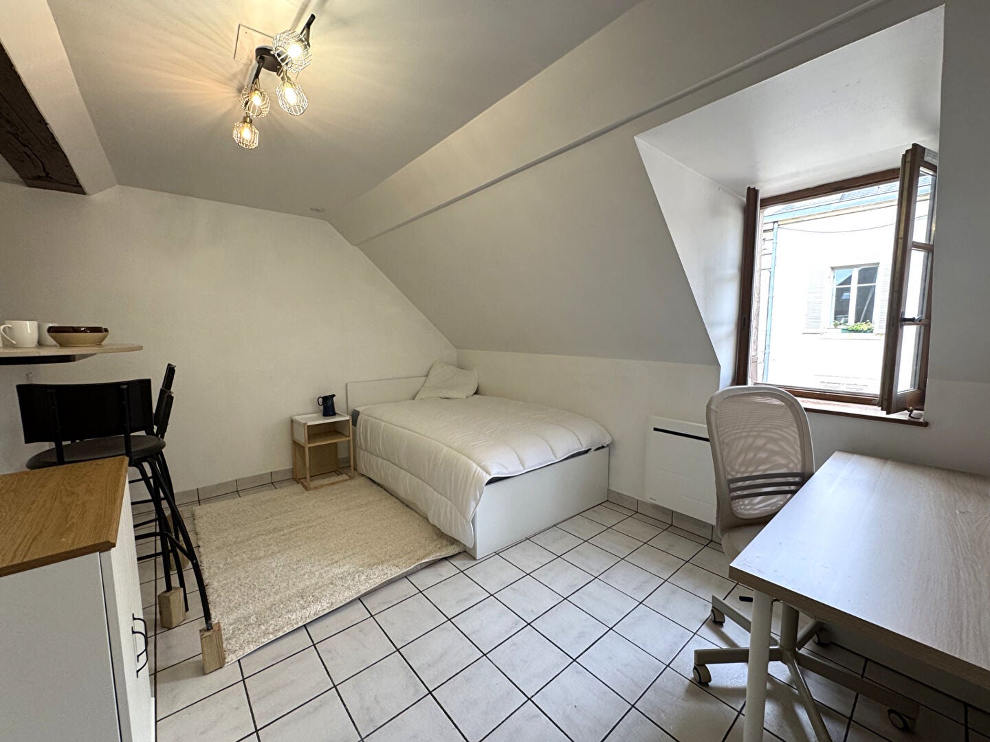 Flat Boulevard de Brosses in Dijon