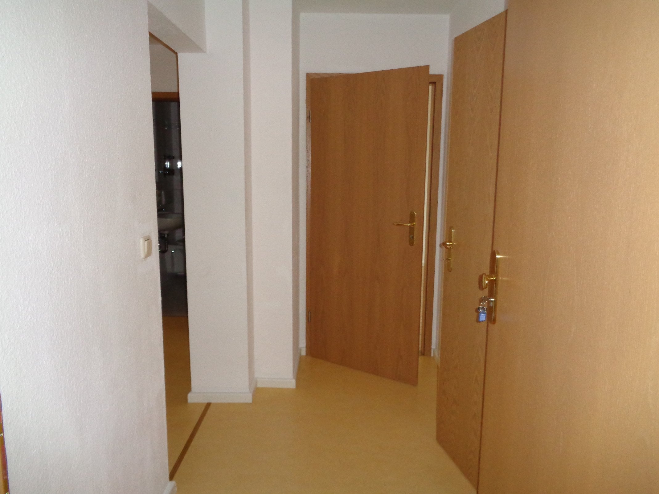 Wohnung Karolastraße in Plauen
