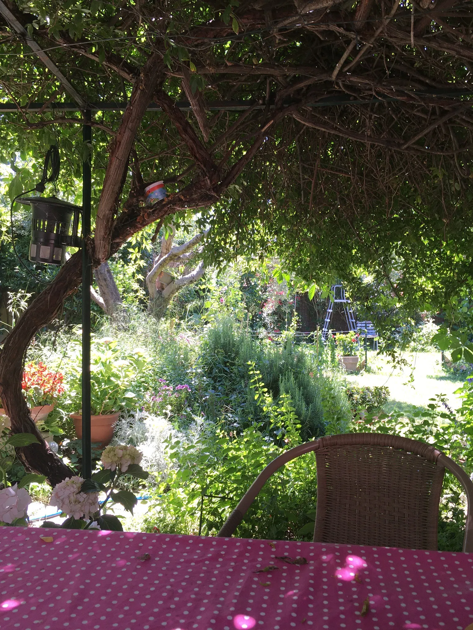 Room Rue Georges Clemenceau in Tarascon