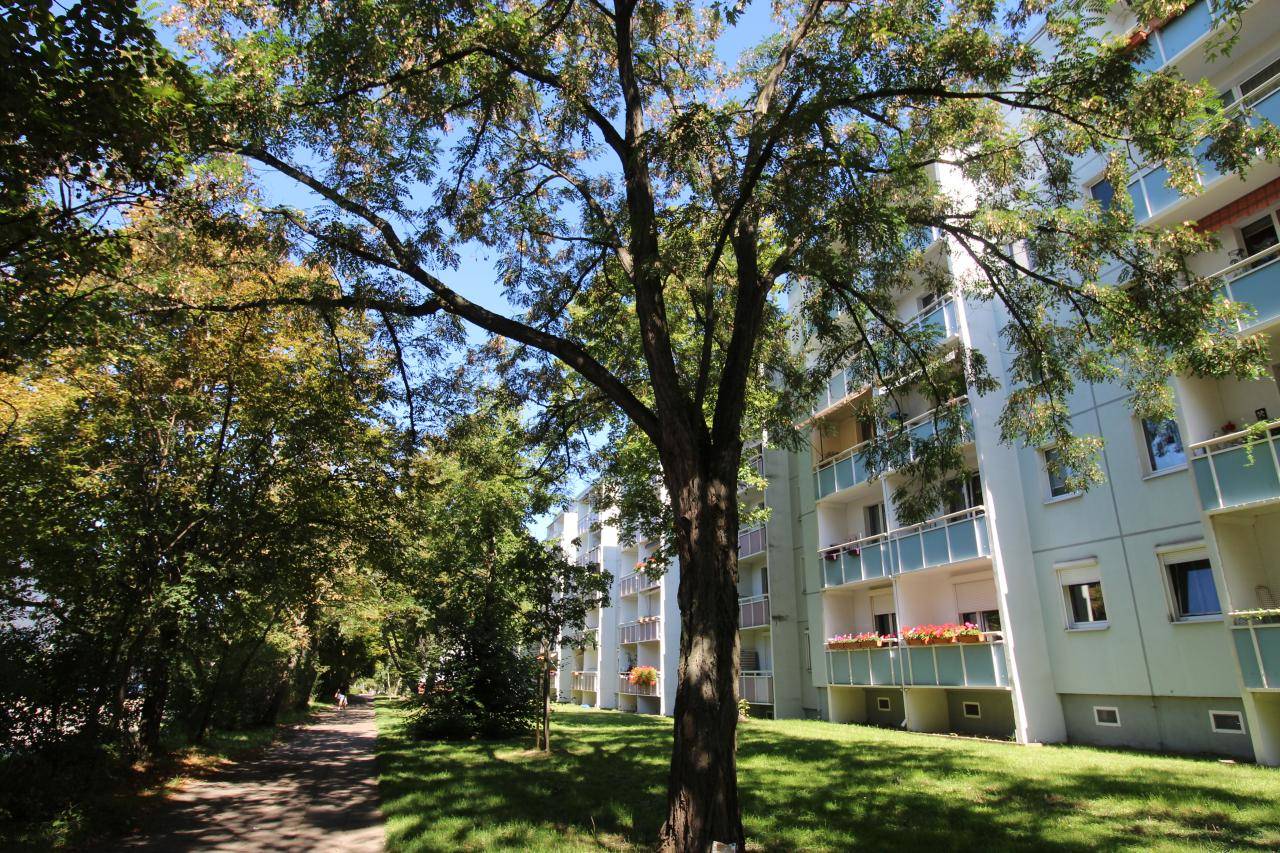 Wohnung Arnold-Zweig-Straße in Magdeburg