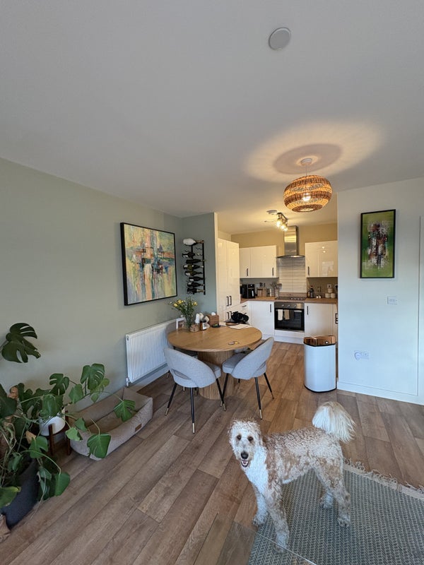 Room Loughborough Park in Greater London