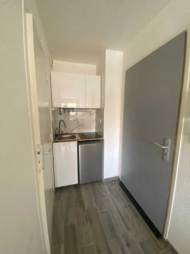 Appartement Rue Sébastien Gryphe à Lyon