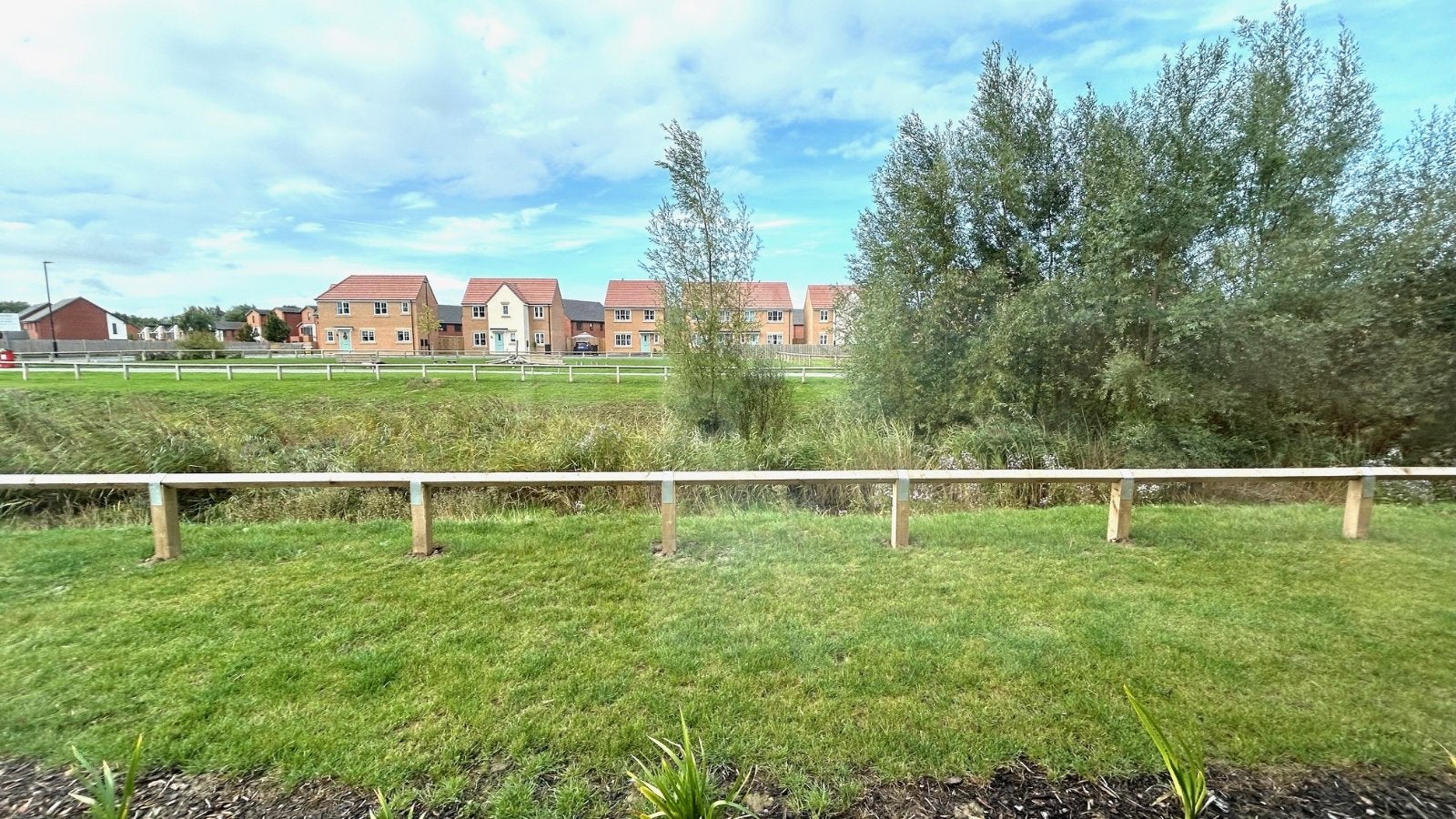 Flat Bluebell Way in Doncaster