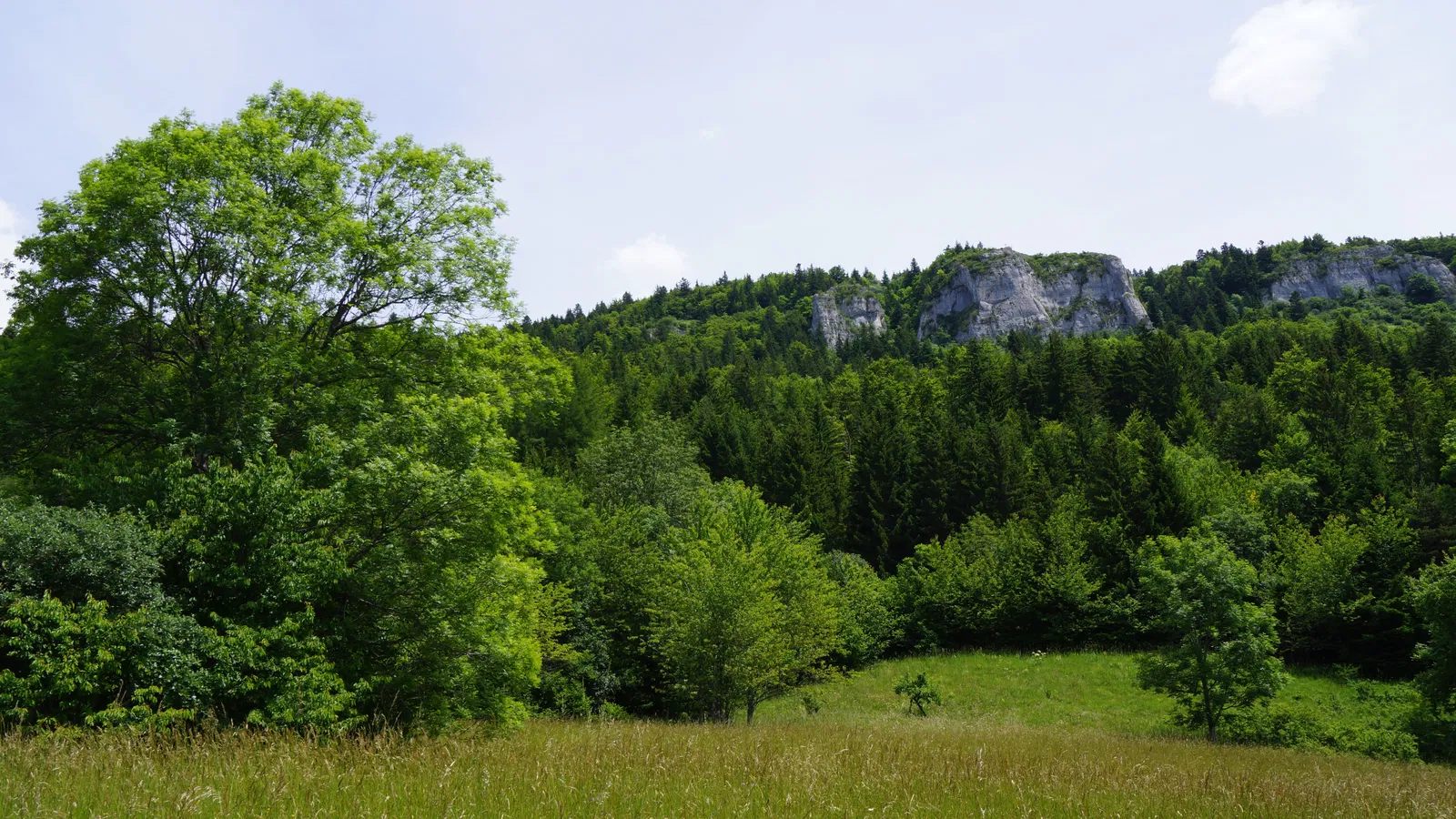 Room Route des Clapats in Lans-en-Vercors
