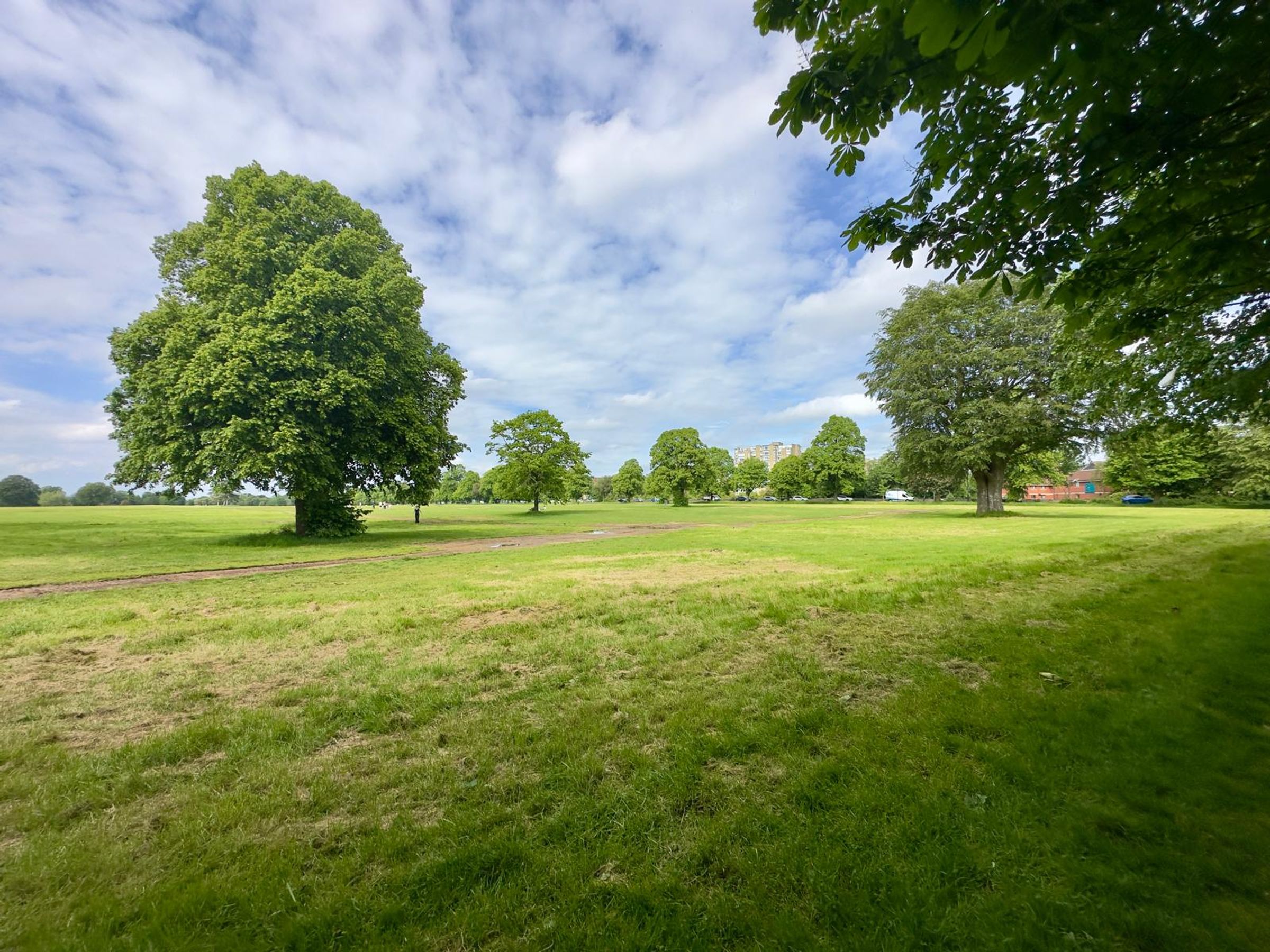 House Redland Grove in Bristol