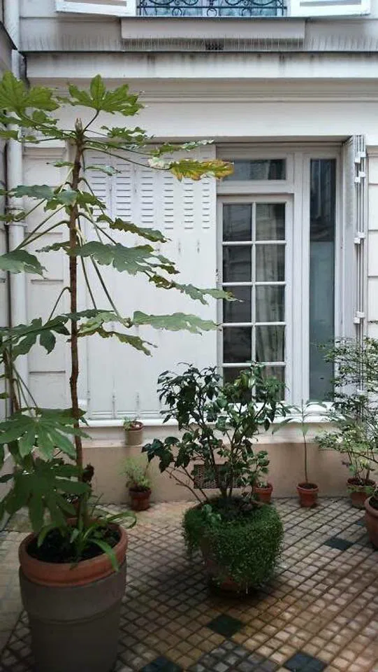 Chambre Rue de Chaillot à Paris
