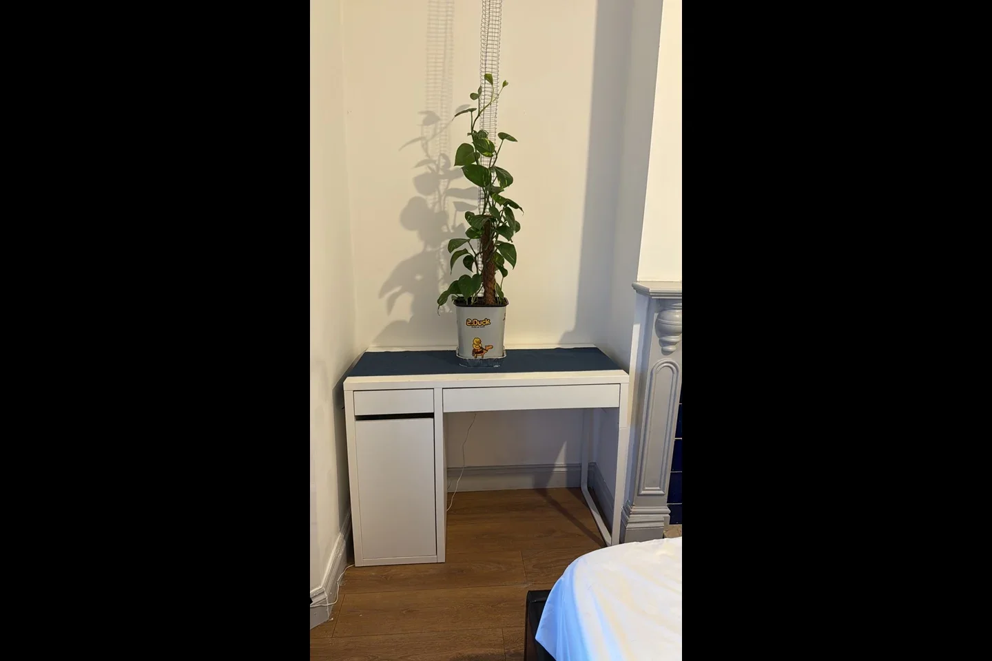 Room Milton Road in Grays