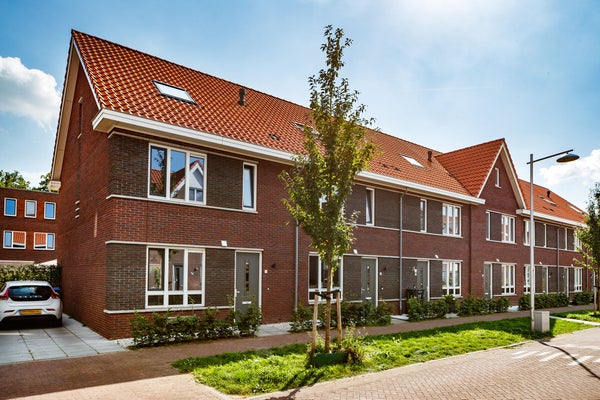 Molenveen