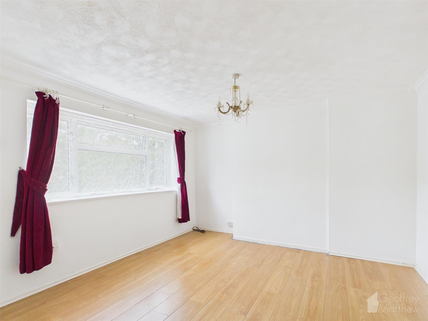 Flat Ladyshot in Harlow