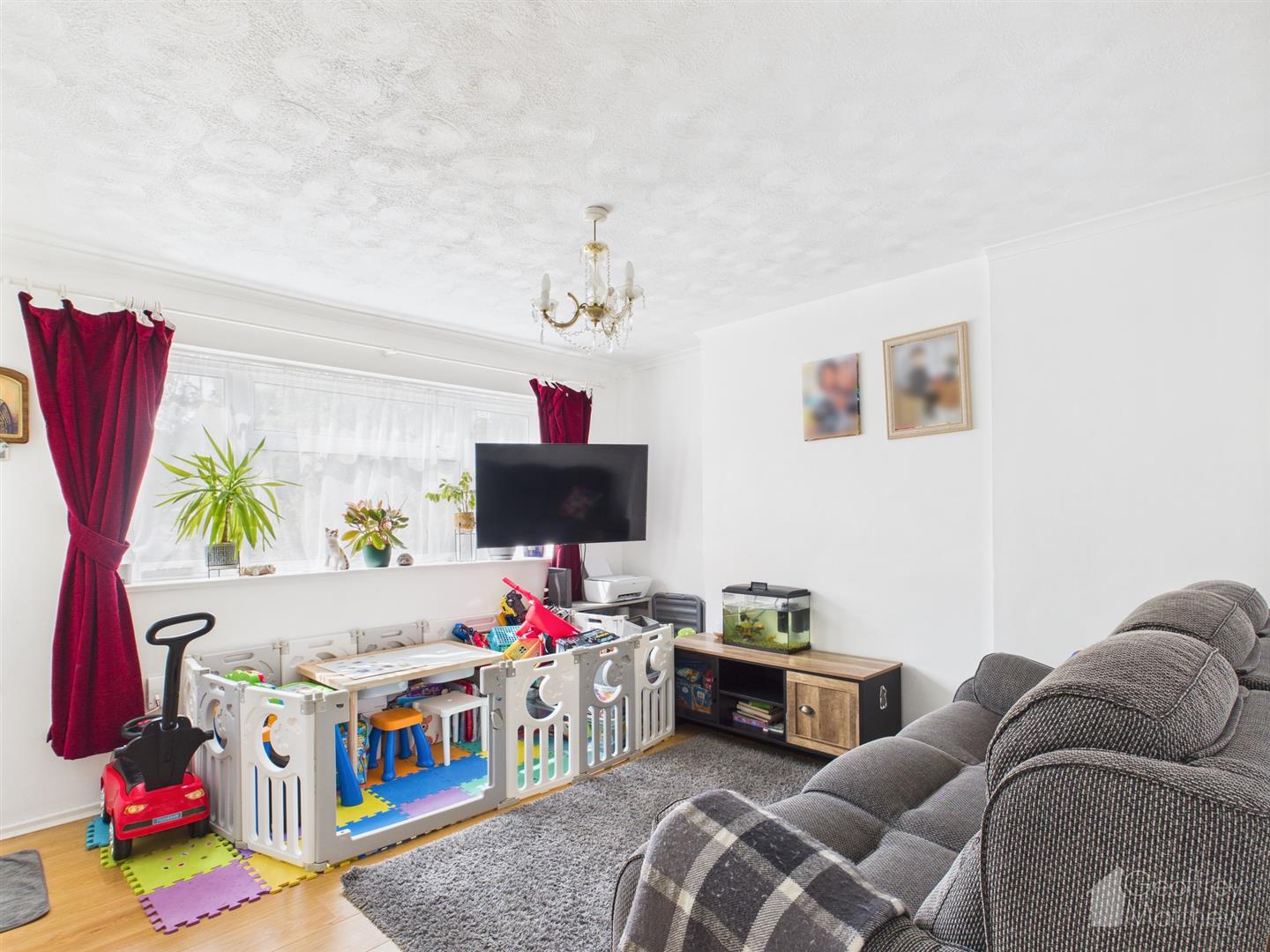 Flat Ladyshot in Harlow