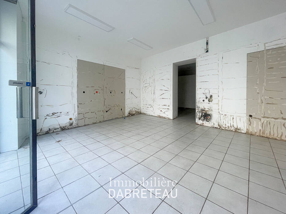 Flat Rue Chevreul in Lyon