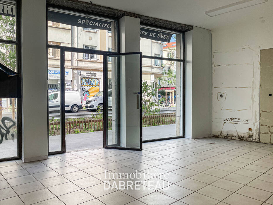 Flat Rue Chevreul in Lyon