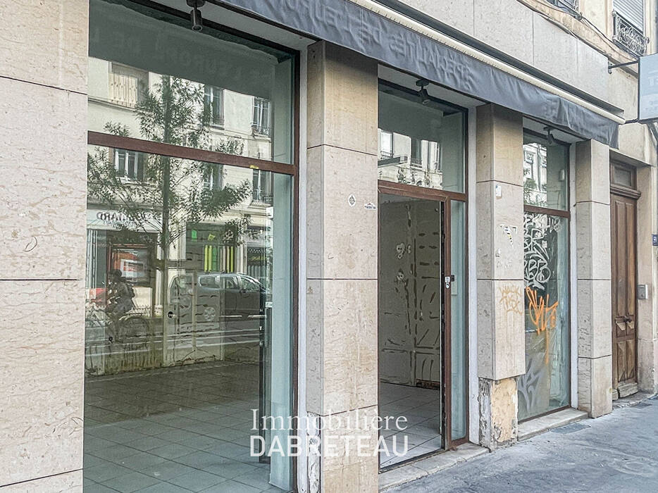 Flat Rue Chevreul in Lyon