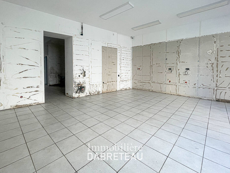 Flat Rue Chevreul in Lyon