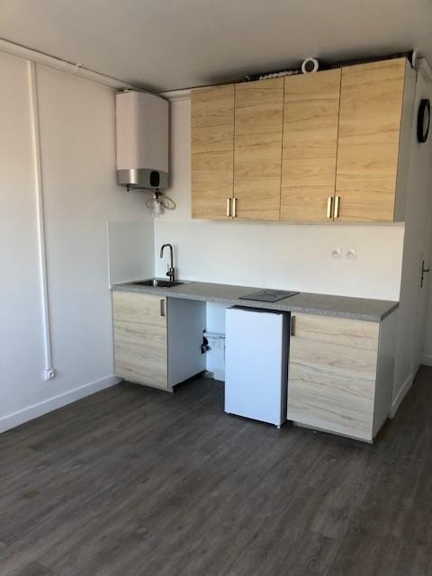Flat Rue Challemel-Lacour in Lyon