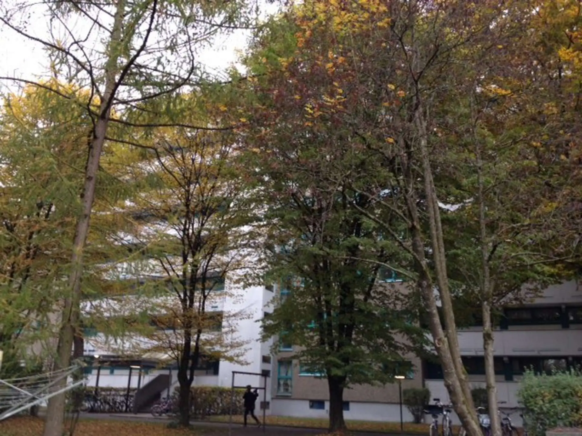 Wohnung Drygalski-Allee in München