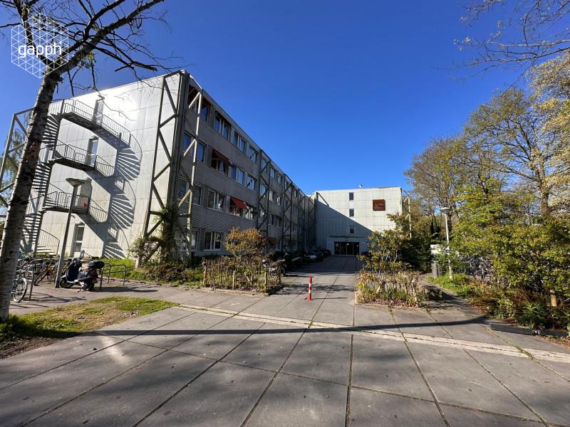 Studio Ringslangpad in Amsterdam