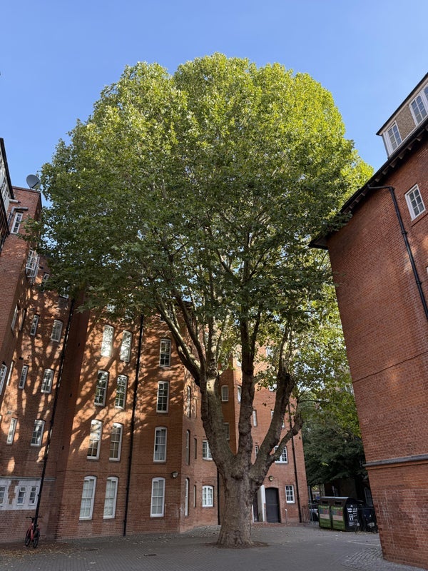Room Boundary Street in Greater London