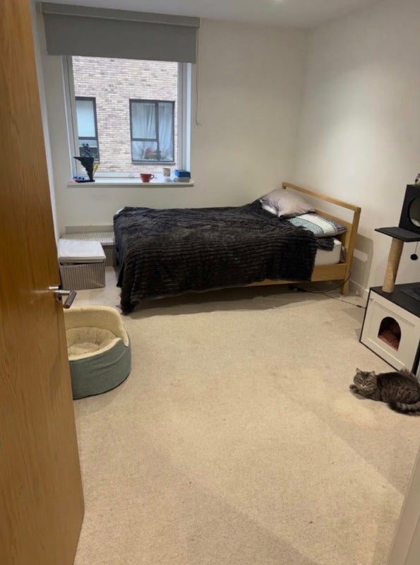 Flat Eaton Walk in Greater London