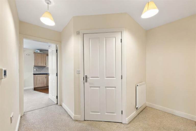 Flat Gypsy Moth Close in Trafford