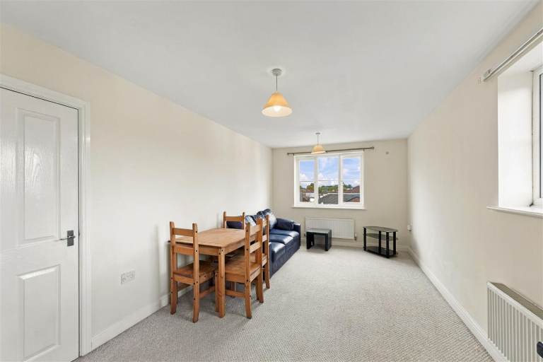 Flat Gypsy Moth Close in Trafford