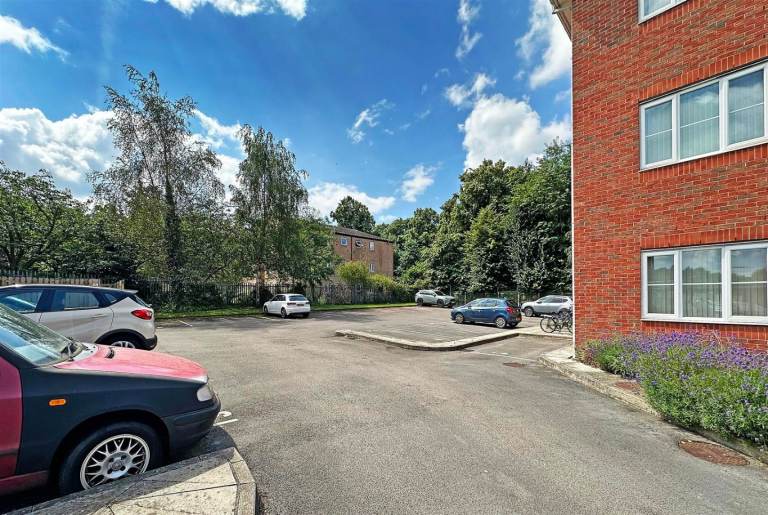 Flat Gypsy Moth Close in Trafford