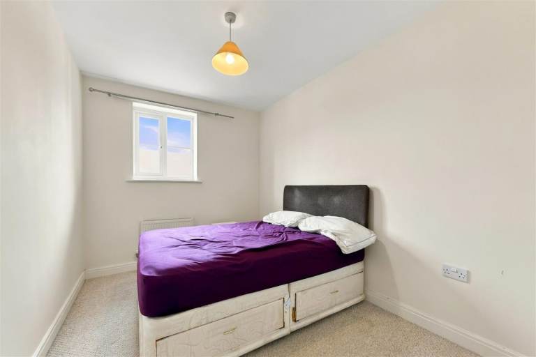 Flat Gypsy Moth Close in Trafford