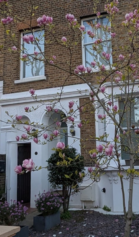 Flat Stamford Brook Road in Greater London