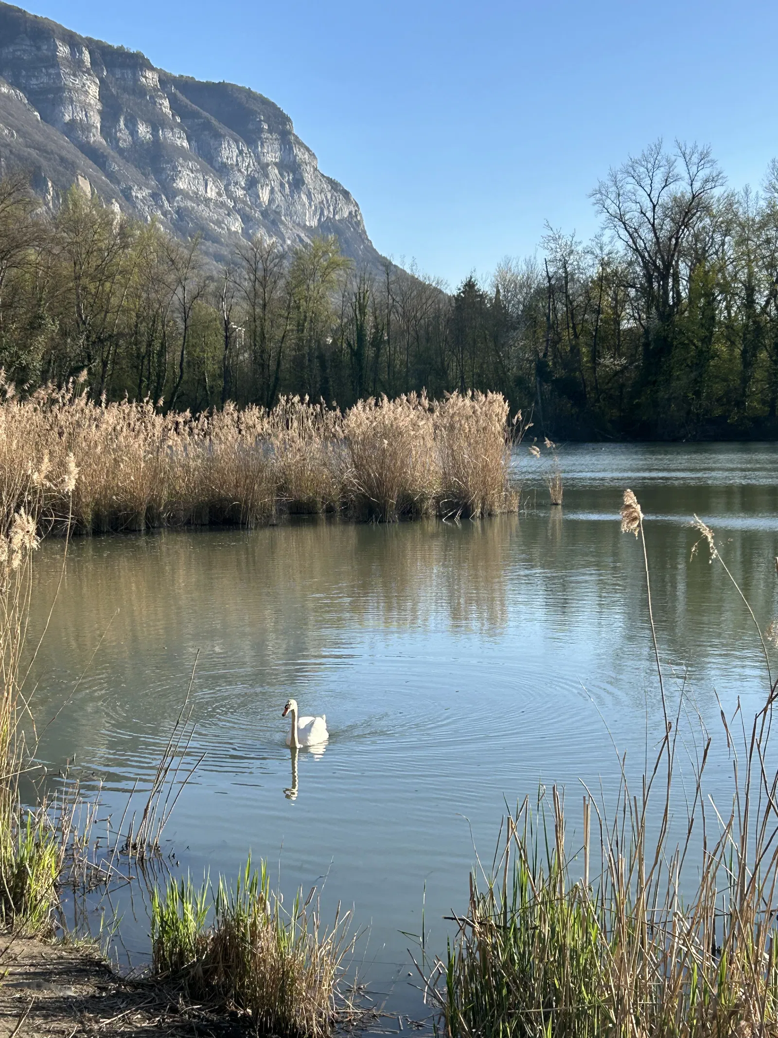 Room Chemin de l'Eau Belle in Pas de l'Echelle