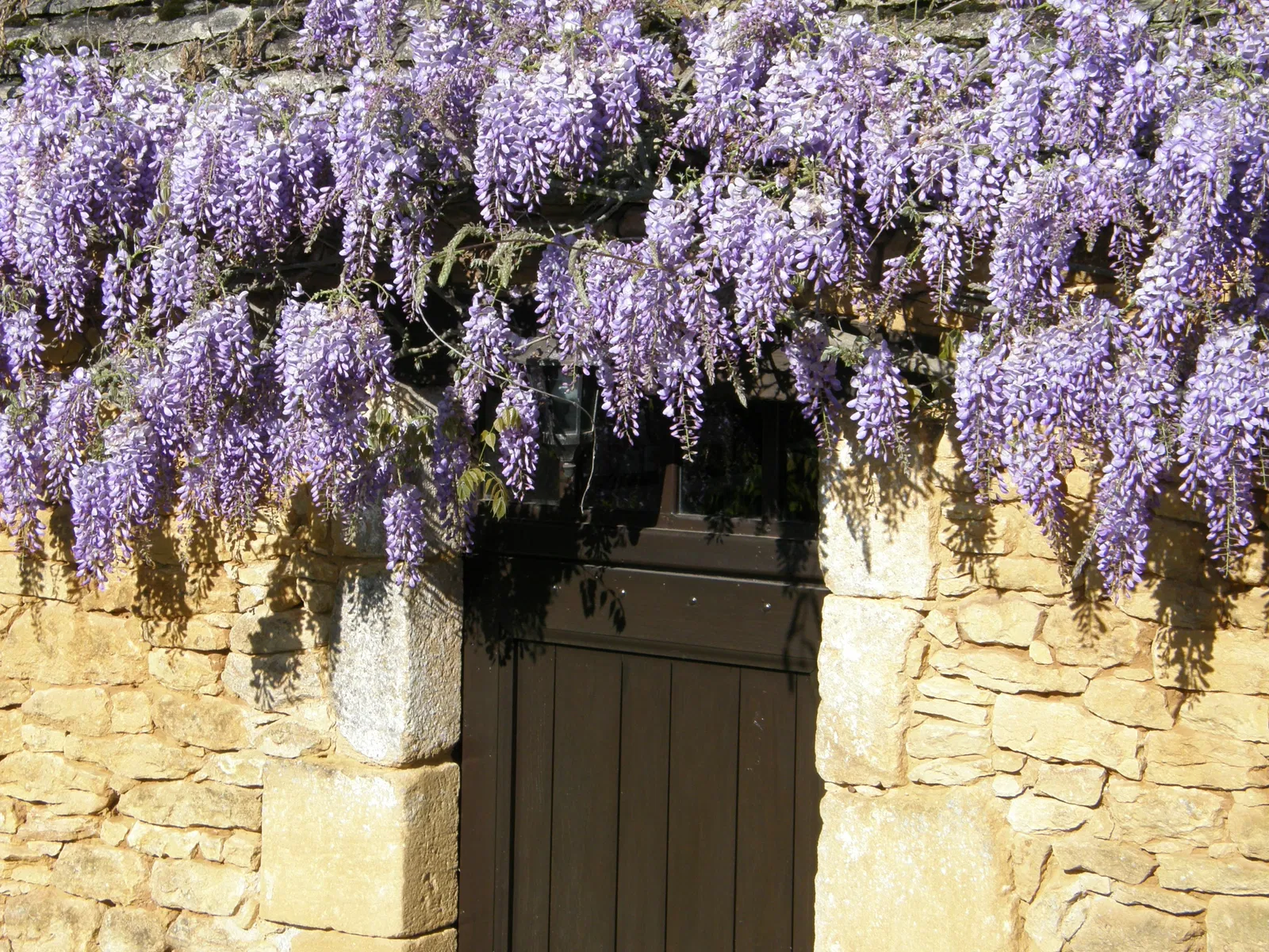 Maison D 62 à Borrèze