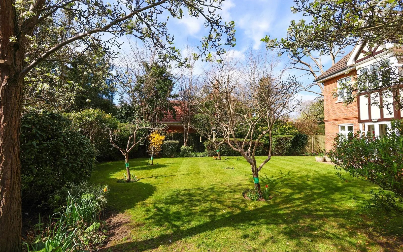 Flat Balfour Road in Elmbridge