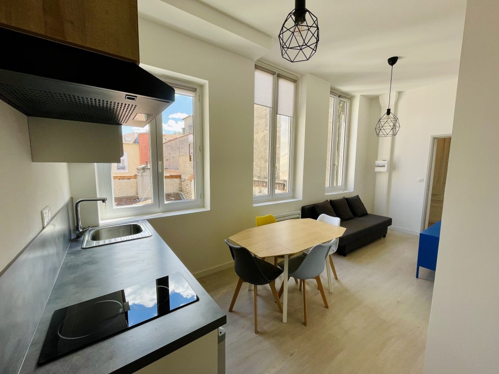 Flat Rue Claude Delaroa in Saint-Étienne