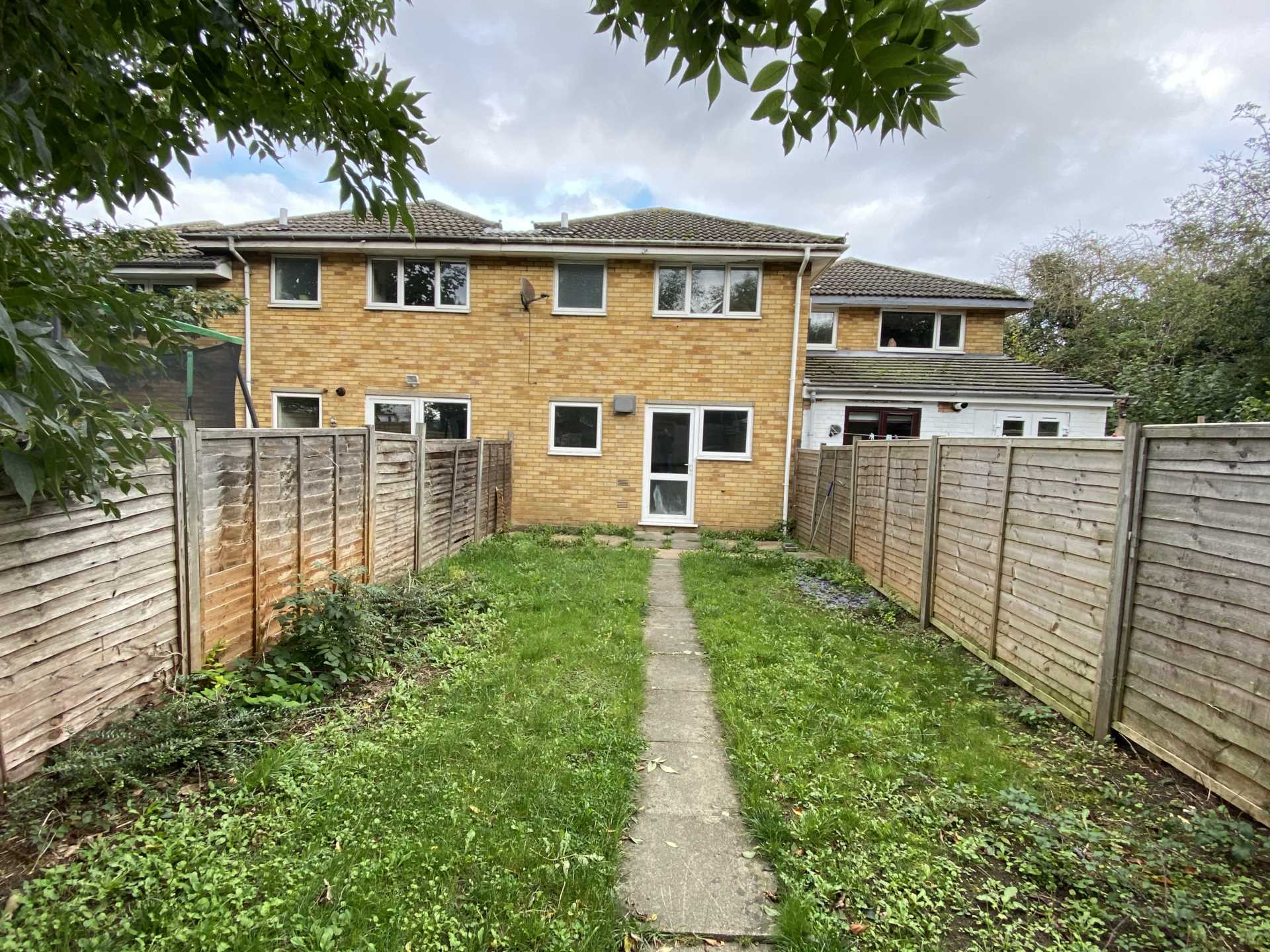 House Hornbeam in Newport Pagnell