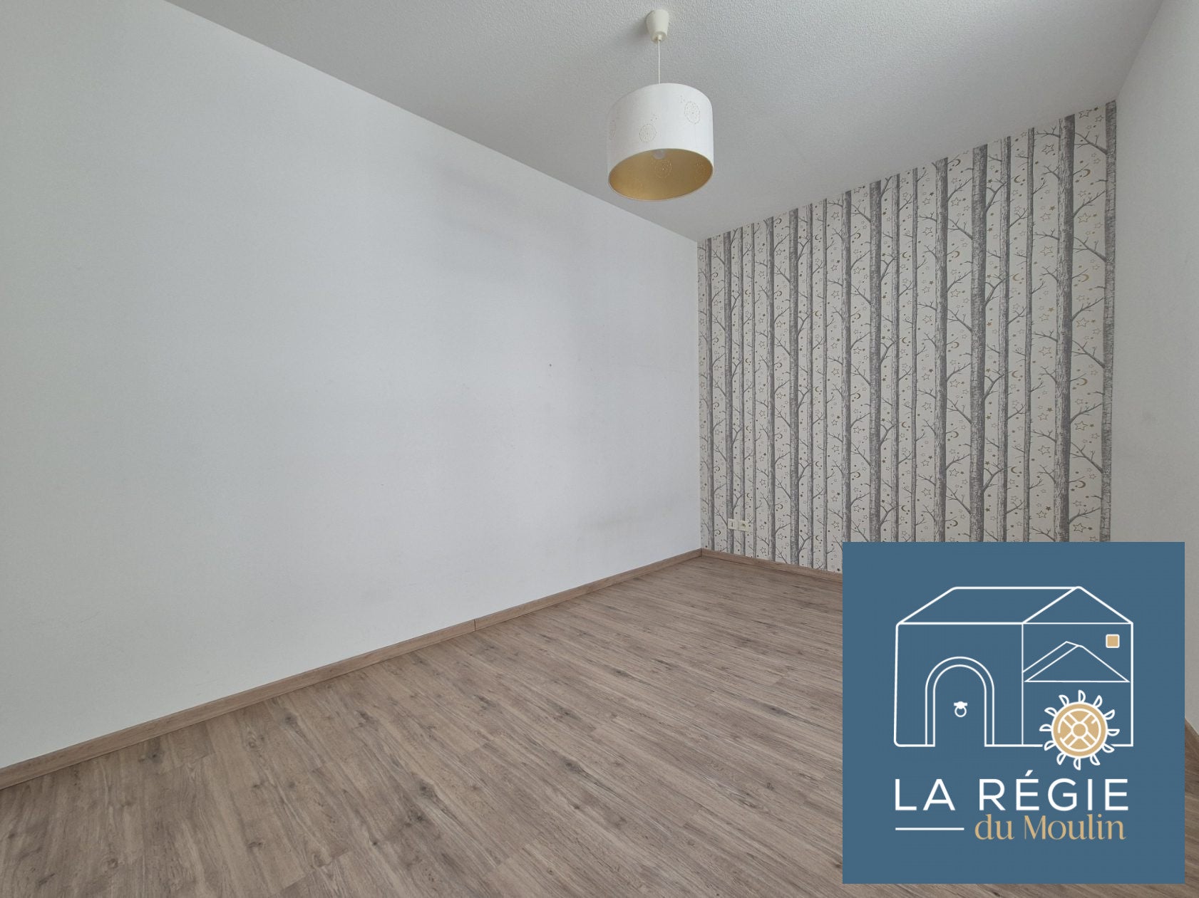Appartement Rue Victor Hugo à Bourgoin-Jallieu