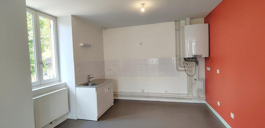Flat Rue Denfert Rochereau in Givors