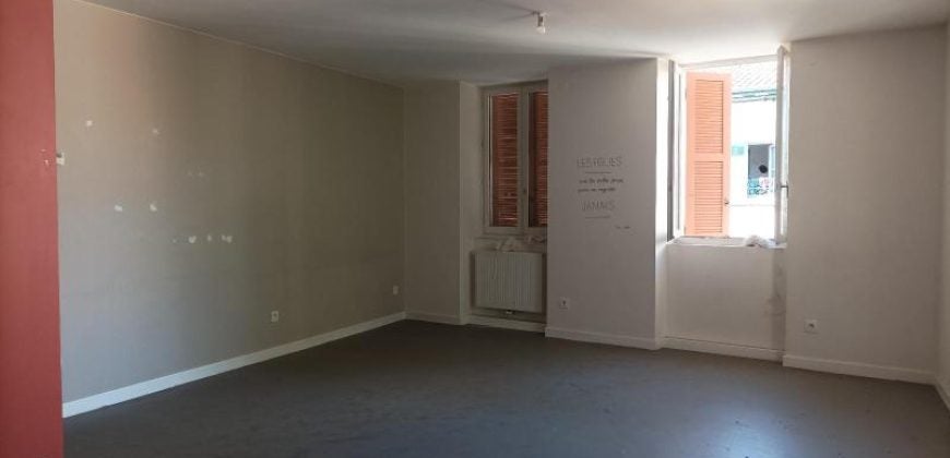 Flat Rue Denfert Rochereau in Givors