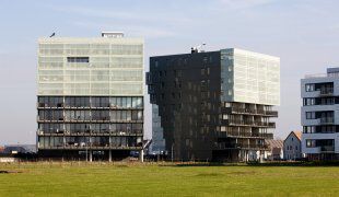 Flat Luzernevlinder in Utrecht