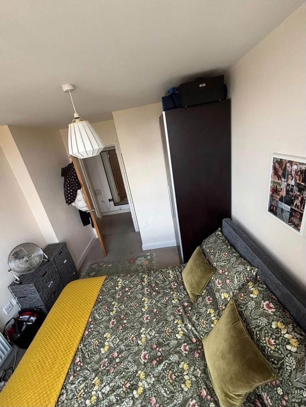 Room Seagull Lane in Greater London