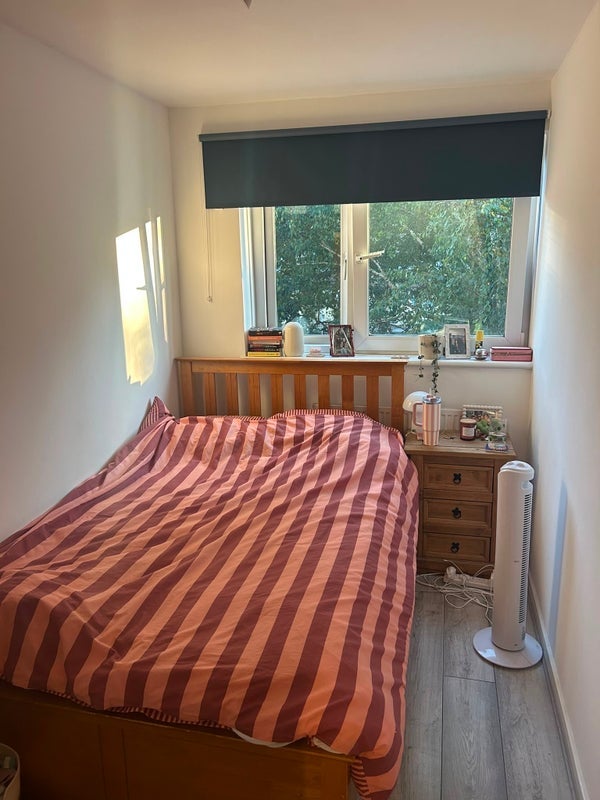 Room Fownes Street in Greater London