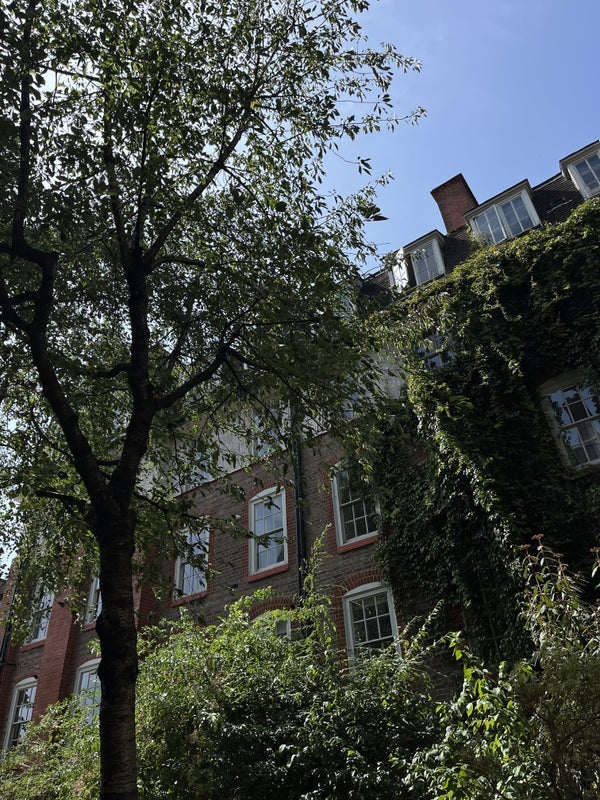 Flat Wilton Way in Greater London