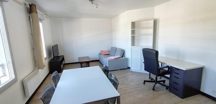 Appartement Rue Louis Guérin à Villeurbanne
