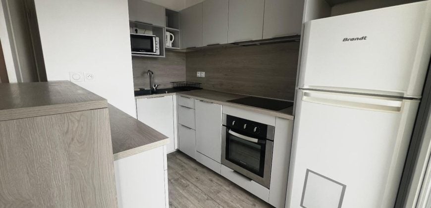 Appartement Rue Louis Guérin à Villeurbanne