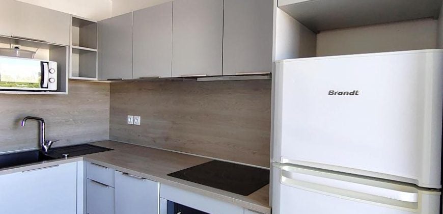 Appartement Rue Louis Guérin à Villeurbanne