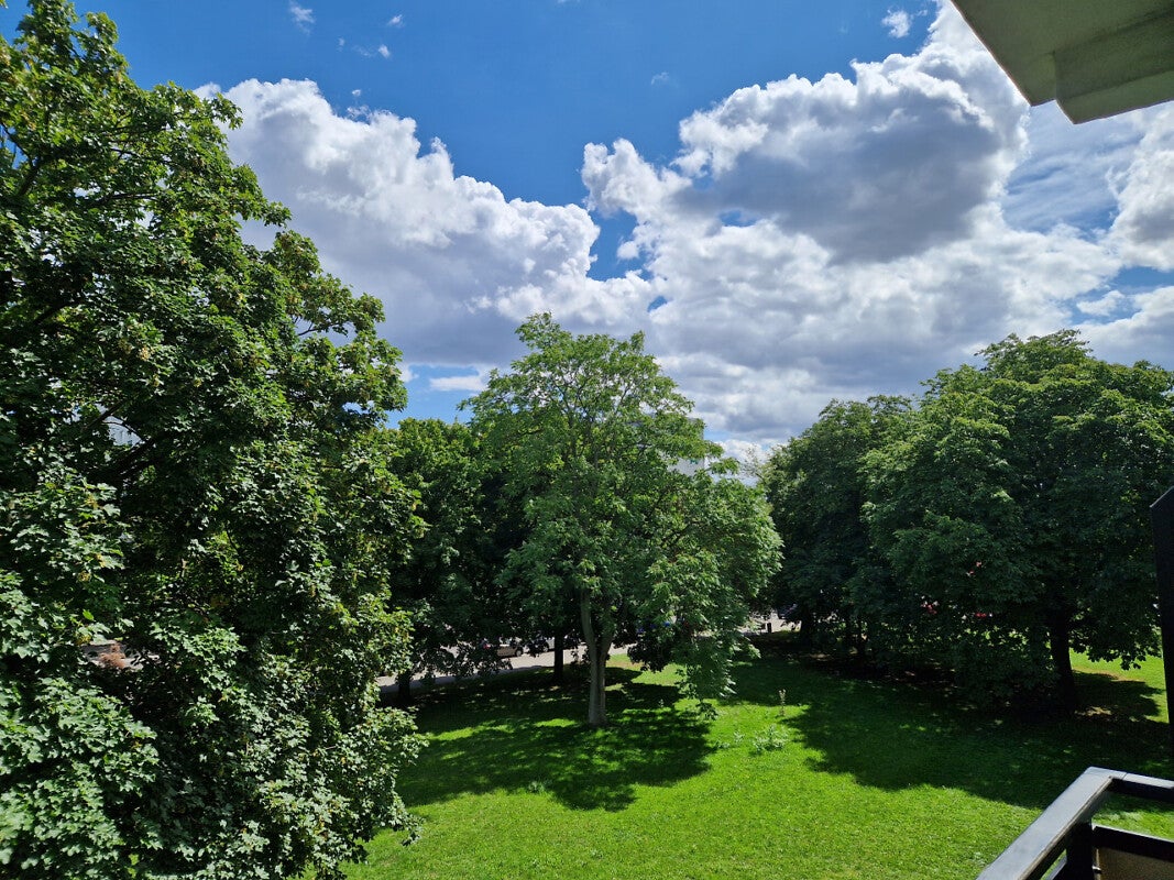 Wohnung Peterstraße in Magdeburg