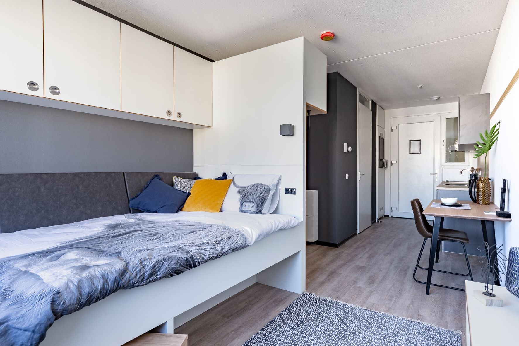 Kamer Reykjavikstraat in Utrecht
