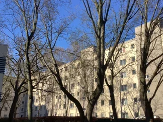 Wohnung Südekumzeile in Berlin