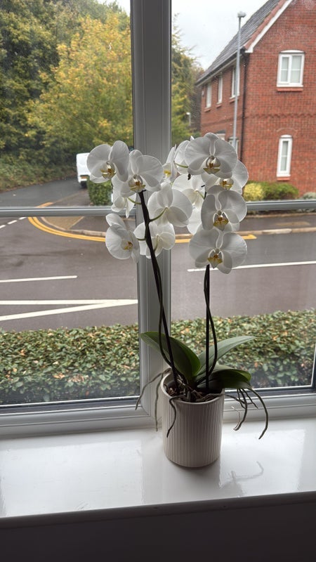 Room Quarrymans View in Salford