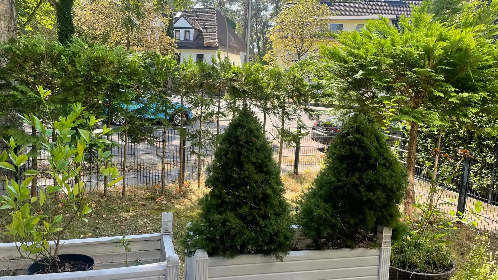 Wohnung Hagenstraße in Berlin