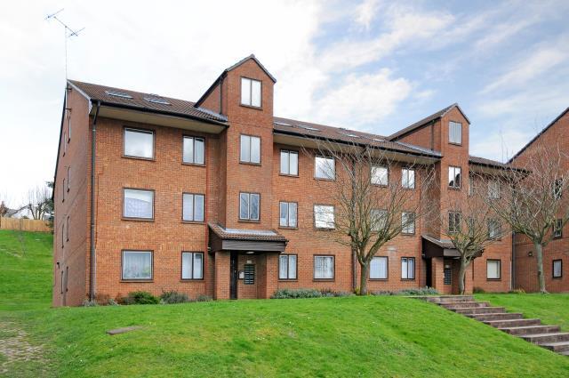 Flat Tippett Rise in Reading