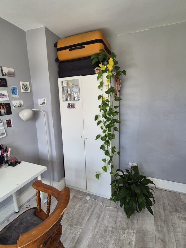 Room Hassett Road in Greater London